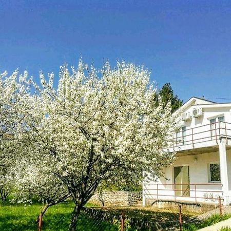 Apartments Pasha Благай Екстериор снимка