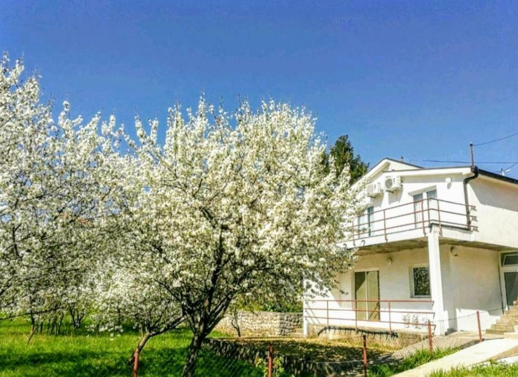 Apartments Pasha Благай Екстериор снимка